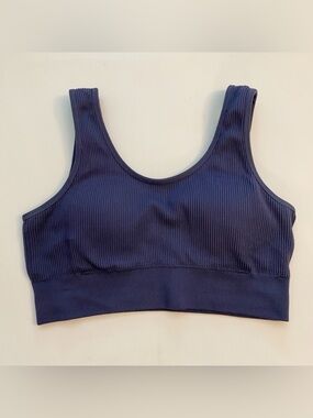 aerie seamless padded bralette fresh bright blue size large